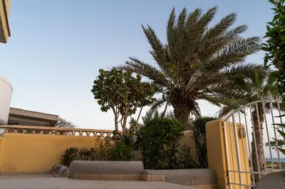 a patio with palm trees and a yellow fence at Lovely beach front apartment in Santa Maria in Santa Maria