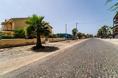 a palm tree on the side of a street at Lovely beach front apartment in Santa Maria in Santa Maria