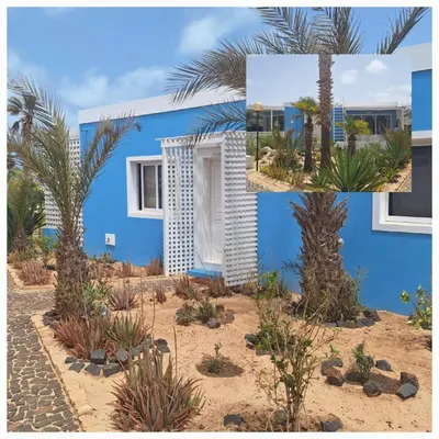 a blue house with palm trees and plants at Útulný apartmán na Praia de Chaves, Boa Vista in Sal Rei