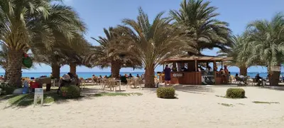a beach with palm trees and a bar on the beach at Porto Antigo 2 Apt 72 TOP FLOOR WITH SEA VIEW in Santa Maria