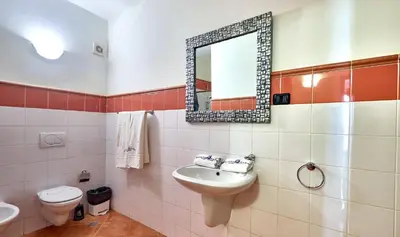 a bathroom with a sink and a mirror and a toilet at Patio Antigo Residence in Santa Maria