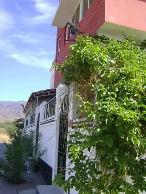 a house with a bush next to a building at Yria Residencial in Porto Novo