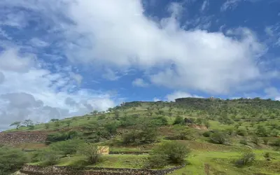 a green hill with trees and a cloudy sky at Praia Capital Residence Aparthotel in Praia
