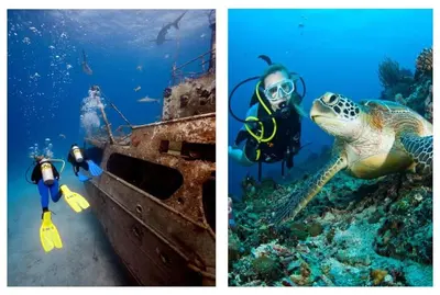 two pictures of a diver and a turtle in the ocean at Time Out Pátio Antigo AC Wifi in Santa Maria