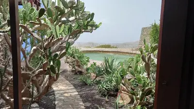 a view of a body of water with a cactus at Casa Azul in Mindelo