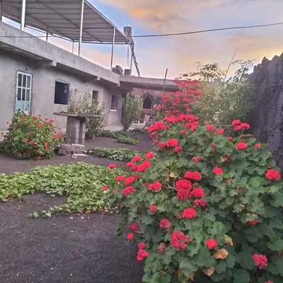 a garden with red flowers in front of a building at Pensão Repouso Alegre Turismo e Aventura in Portela