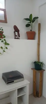 a desk with a laptop on a table with plants at Kaza Jindung in Mindelo