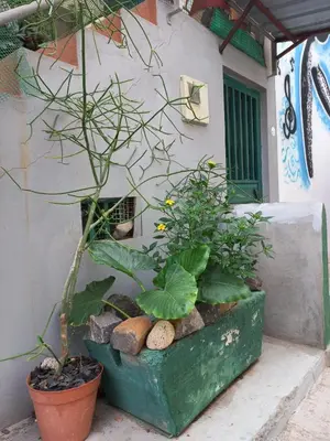 a planter with plants and rocks in front of a building at Kaza Jindung in Mindelo