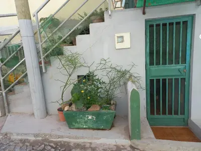a stairway with a green door and a potted plant at Kaza Jindung in Mindelo