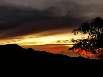 a sunset with a tree in the foreground at Strela Mountain Lodge in Tarrafal
