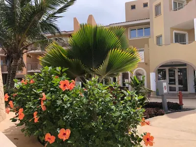 a palm tree and flowers in front of a building at Tropical Morabeza Apartment Santa Maria in Santa Maria