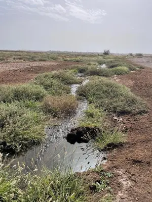 a stream of water in the middle of a field at SOL AZUL in Santa Maria