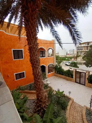 a palm tree in front of a building at Appartamento Alma de Cri 10b, Sal Rei Estoril in Sal Rei