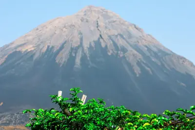 a mountain in the distance with a tree in the foreground at Casa Ze & sonia in Portela