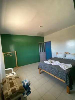 a bedroom with two beds and a green wall at Casa Ze & sonia in Portela