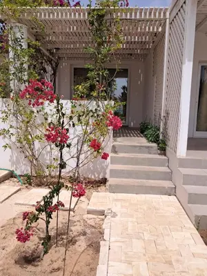 a house with pink flowers on the side of it at Praia de Chaves Bungalow ,Boavista in Sal Rei