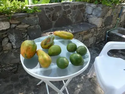 a plate of fruit on a table next to a chair at Cottage na Ribeira do Paúl in Pombas