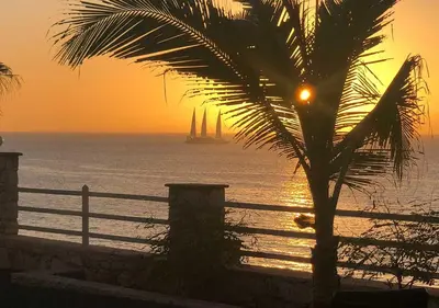 a palm tree in front of the ocean at sunset at Villa Lagosta Stella Maris Exclusive in Vila do Maio