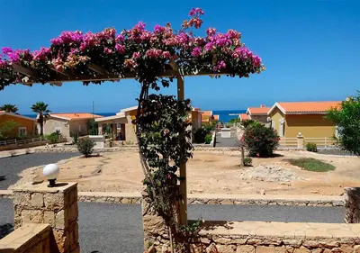 a pergola with pink flowers on top of it at Appartamento Buzio. Stella Maris Exclusive in Vila do Maio