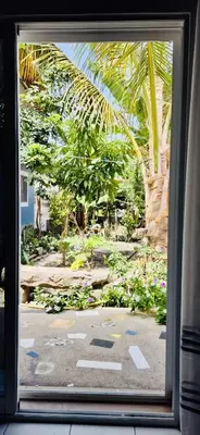 a window view of a garden with palm trees at Casa Chiquinha in Ribeira da Prata
