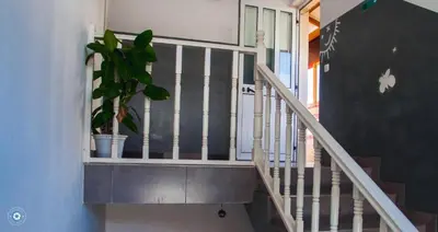 a staircase with a potted plant in a house at Kolina D´Sol in Ponta do Sol